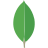 Logo do MongoDB